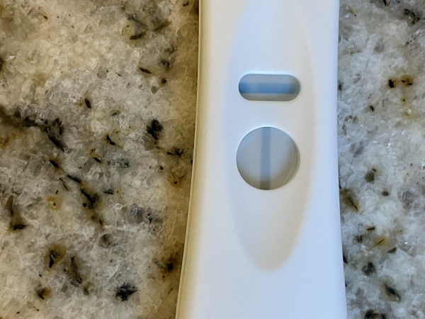 Clearblue Plus Pregnancy Test, 9 Days Post Ovulation, FMU, Cycle Day 26