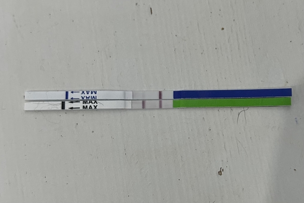 Generic Pregnancy Test, 8 Days Post Ovulation, FMU, Cycle Day 18