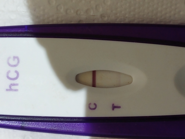Equate Pregnancy Test, 6 Days Post Ovulation, Cycle Day 29