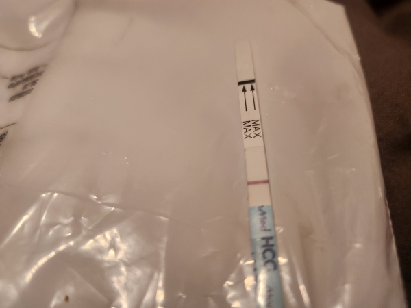 MomMed Pregnancy Test, 15 Days Post Ovulation, FMU, Cycle Day 29