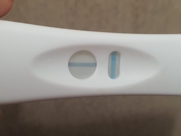Accu-Clear Pregnancy Test, 16 Days Post Ovulation, FMU, Cycle Day 30