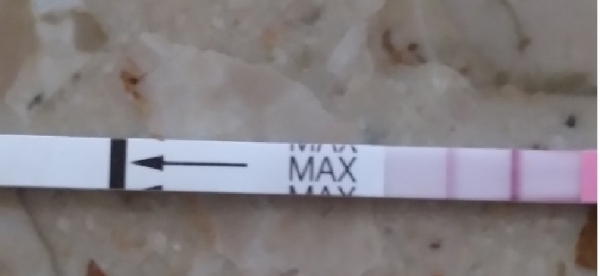 Clinical Guard Pregnancy Test, 16 Days Post Ovulation, FMU, Cycle Day 29