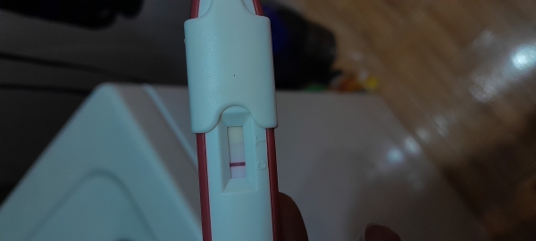 Generic Pregnancy Test, 14 Days Post Ovulation, Cycle Day 29