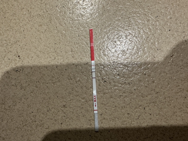 Answer Pregnancy Test, 14 Days Post Ovulation, Cycle Day 28