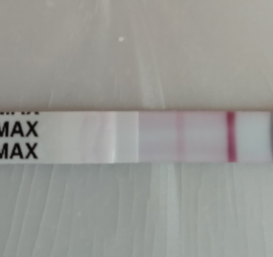 Clinical Guard Pregnancy Test, 12 Days Post Ovulation, Cycle Day 27