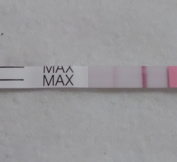 Home Pregnancy Test, 15 Days Post Ovulation, FMU