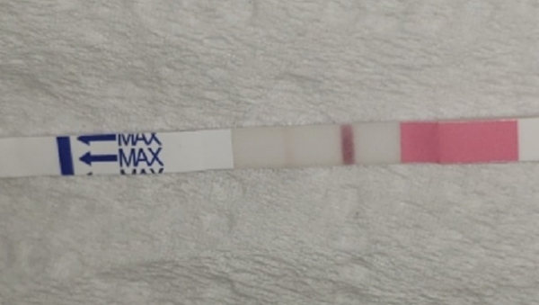 Clinical Guard Pregnancy Test, 11 Days Post Ovulation, Cycle Day 26