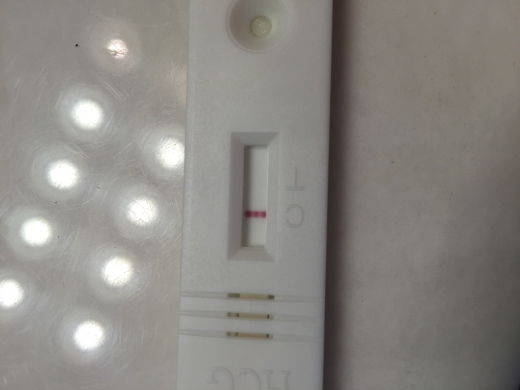New Choice (Dollar Tree) Pregnancy Test, 11 Days Post Ovulation, Cycle Day 26
