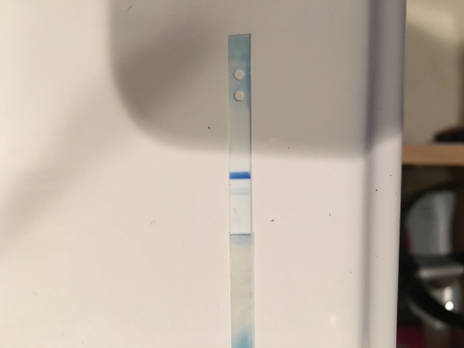 Clearblue Digital Pregnancy Test, 10 Days Post Ovulation, Cycle Day 19
