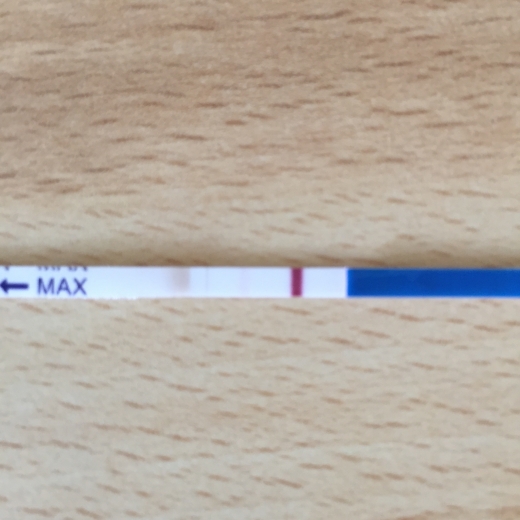 CVS One Step Pregnancy Test, 14 Days Post Ovulation, FMU, Cycle Day 33
