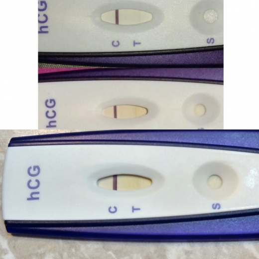 First Signal One Step Pregnancy Test, Cycle Day 19